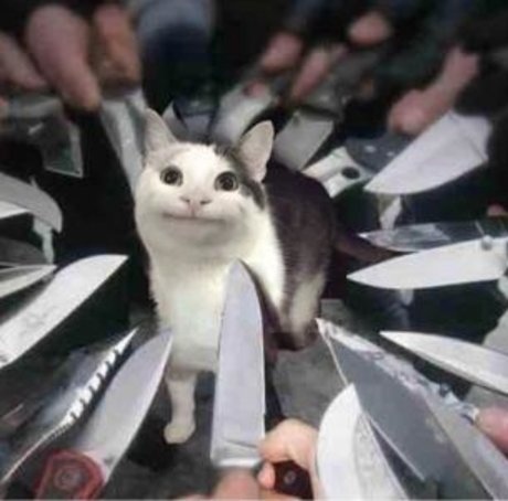 RosieTeet star nudes galleries