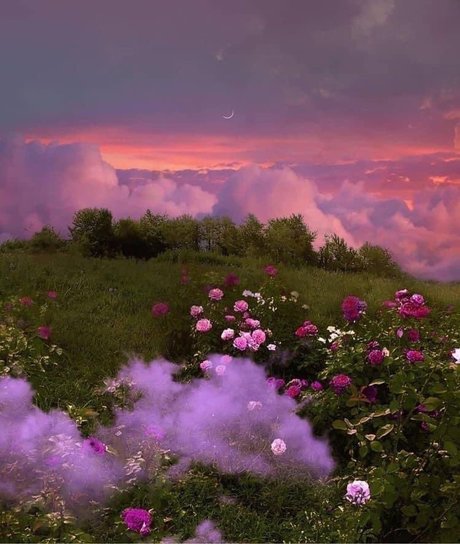 rosie booty best star pics