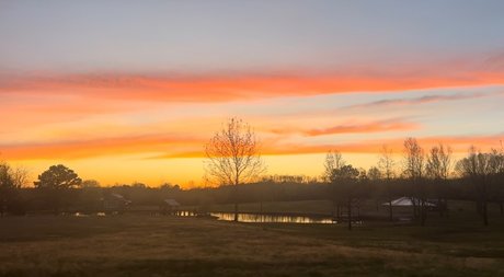 Rose Ink perfect pornstar pictures