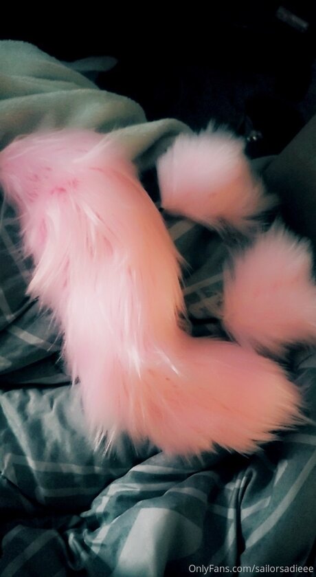 Sailor Sadie pornstar sex img