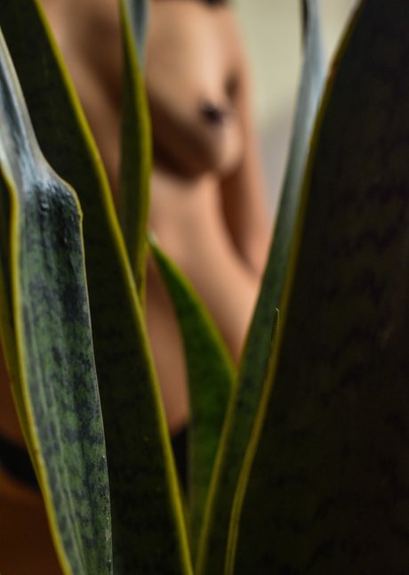 Sailor Meow pornstar exclusive picture