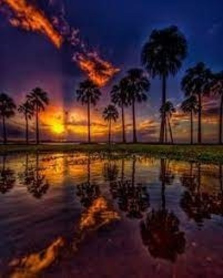 big booty black girls onlyfans hot xxx picture