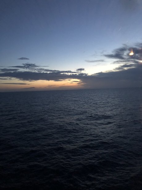 d4vrrr xxx model picture