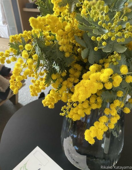 famous onlyfans beautiful archive