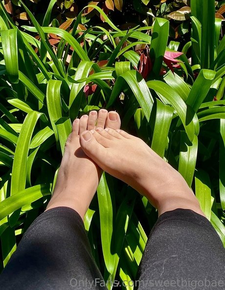 anal gape onlyfans hot nude gallery