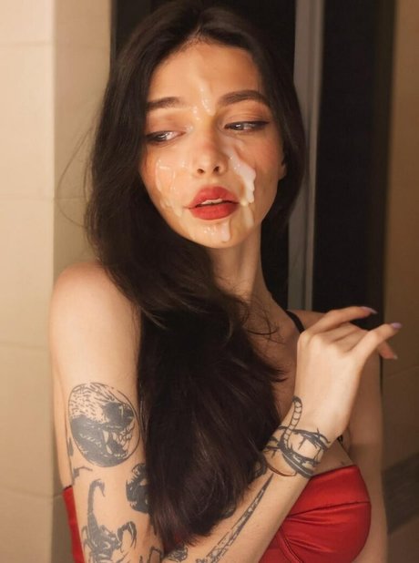 by owl hd star photo