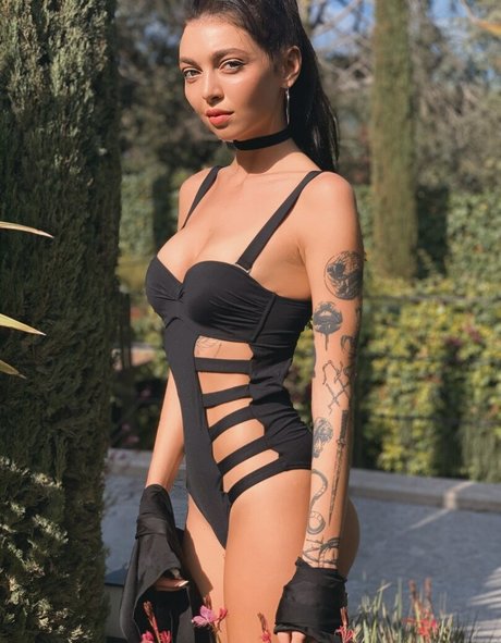 by owl Photo Gallery