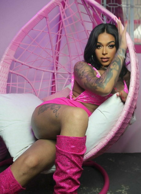 transsohot star art images