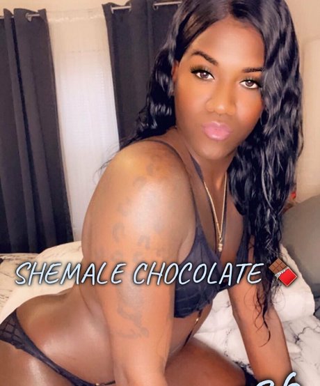 transsohot xxx star gallery