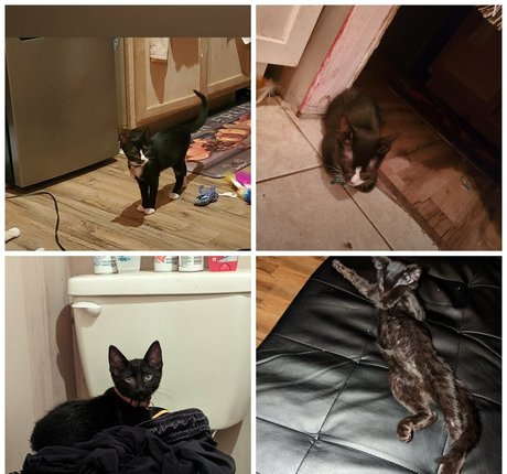 lunalusts4u sex model photos