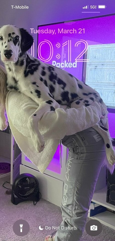 bustybubblz star pornographic pictures