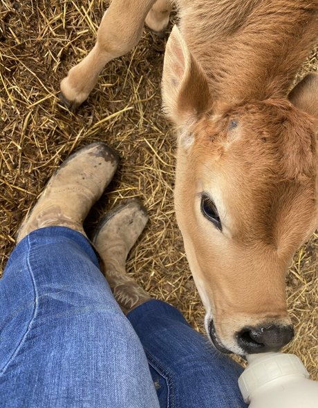 bikini sex onlyfans free sex photos