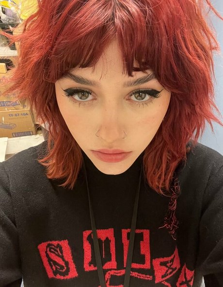 Kailee Morgue top pornstar galleries