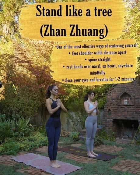 dick rating onlyfans nice photo