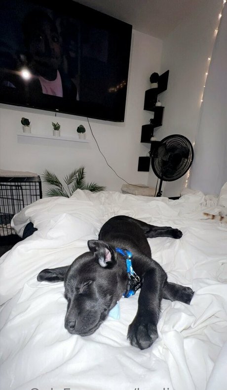 kaylinwrenn pornstar naked img