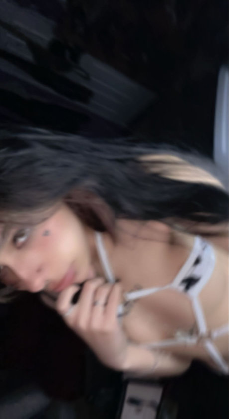 _Tiger_ nice star archive