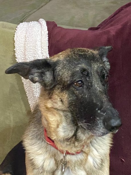 Sassy Jassy naked actress images