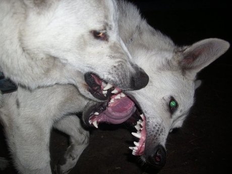 asian pantyhose onlyfans hot img