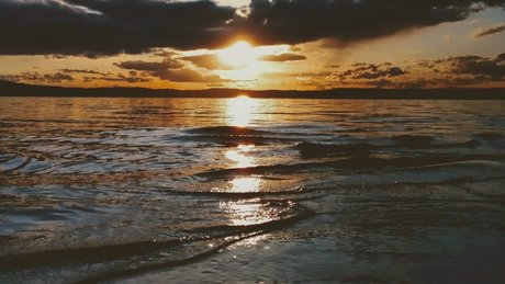 Saria Eden pornstar xxx photos