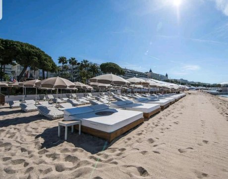 Sarah Bell_ pretty pornstar pic