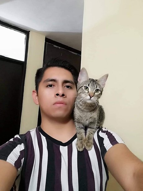 thigh high boots onlyfans sexy nude archive