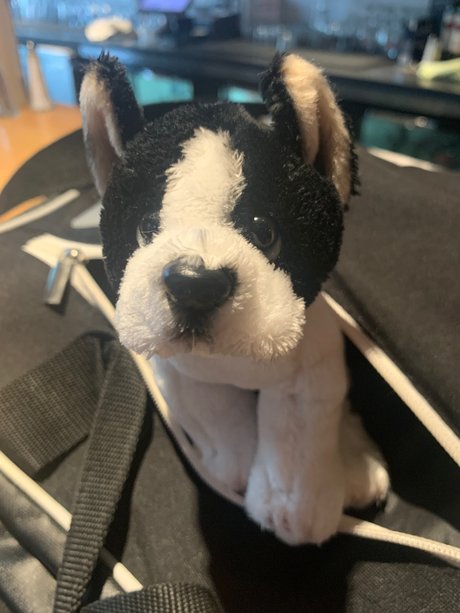 Grey Sweatpants Boy sex model images