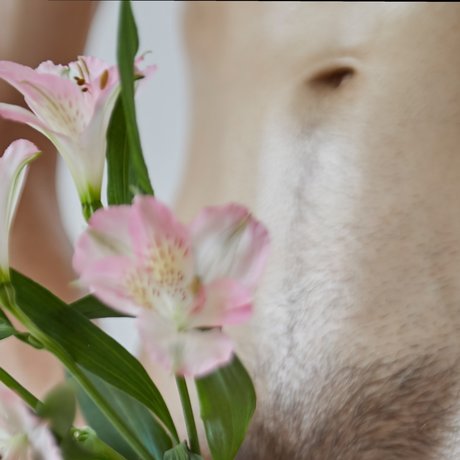 asian pantyhose onlyfans art porn img