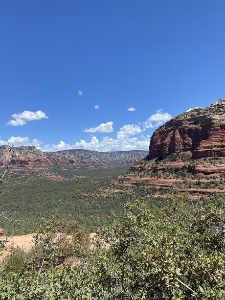 riv mic model picture