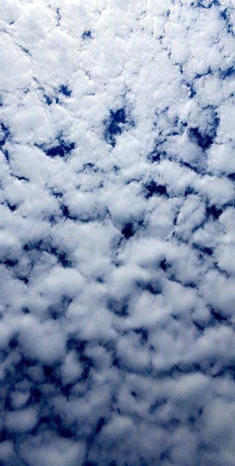 Savannah Denea xxx star img