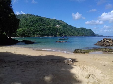 _mpress avage star xxx photos