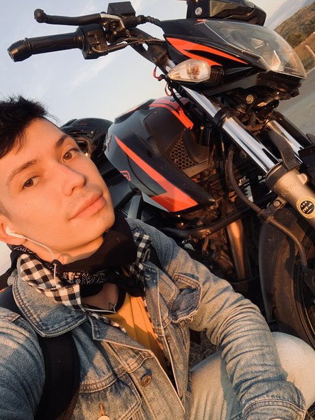 Nicol s D_ free model image