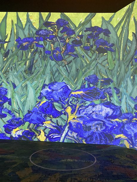 Persian Prince model erotic img