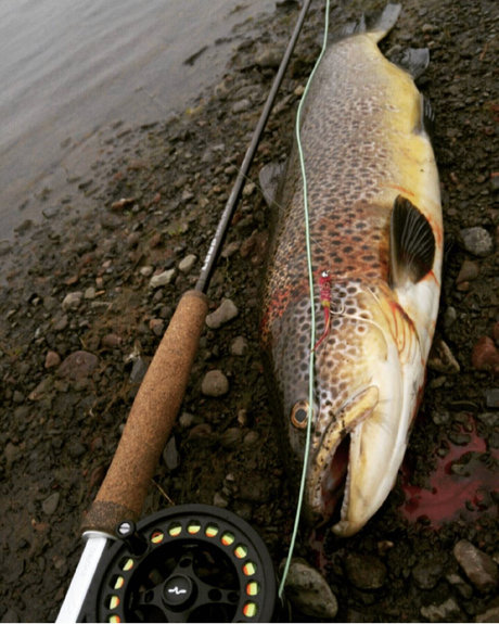 ebony bbw onlyfans beautiful porn archive