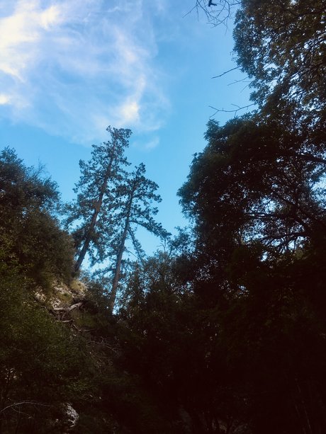 Thickdickmvn nudes model images