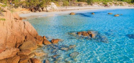 Sam feet art star pics