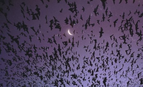 _kitty_ beautiful actress gallery