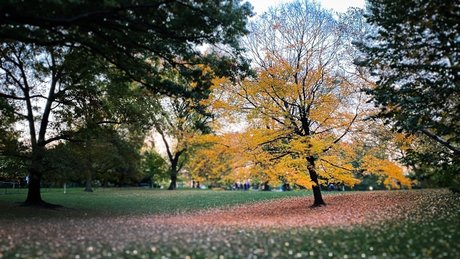 Josh Pink model beautiful galleries