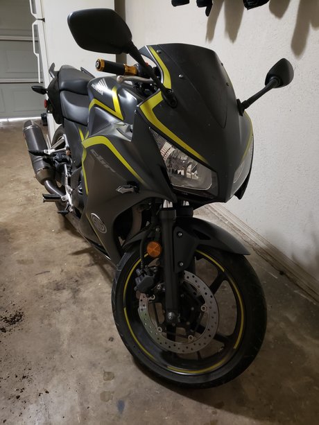 The Lady Black star image