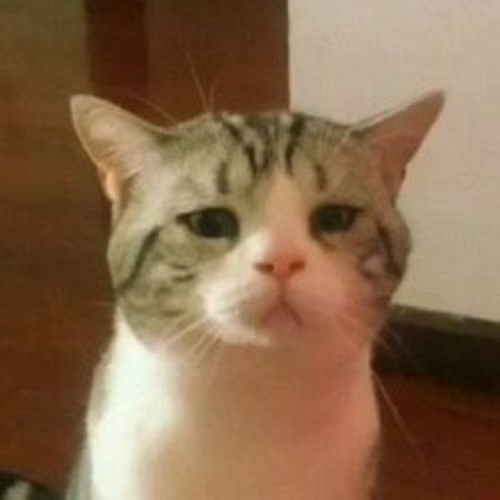 Yatara adult star gallery