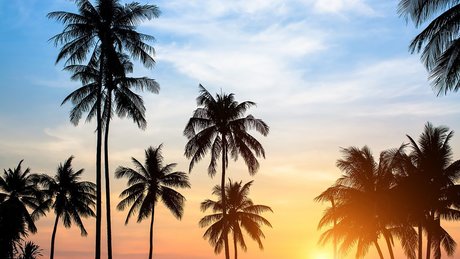 asmr onlyfans beautiful pics