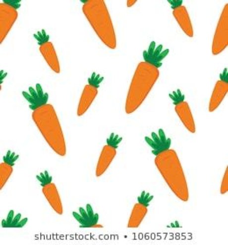 Thee Bunny star high quality gallery