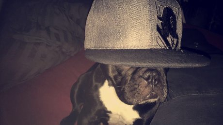 Olsern high quality star image