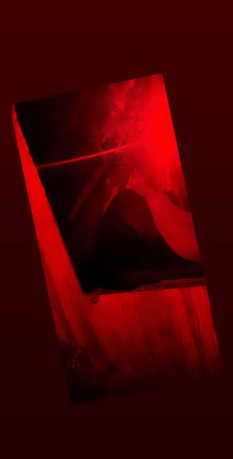 Fany Hernandez art star photo