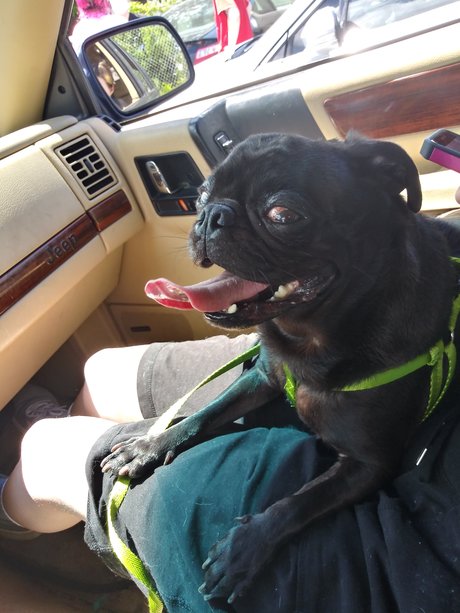 asian tranny onlyfans free sex pic