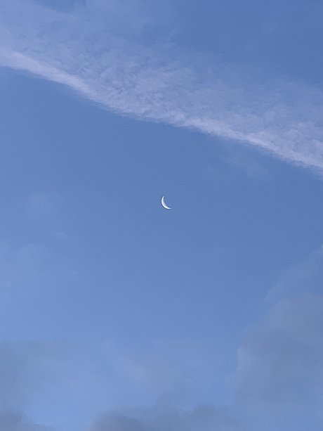 Althea_ nice actress photo