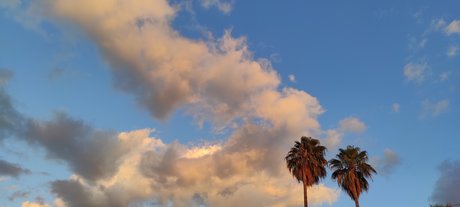 Teddy Velazquez pornstar exclusive image