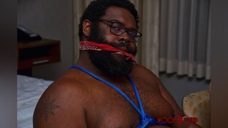 Zachumble star hd photo