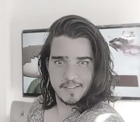 El Mayo model perfect img