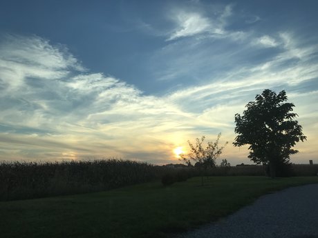 bunny xxx onlyfans naked img