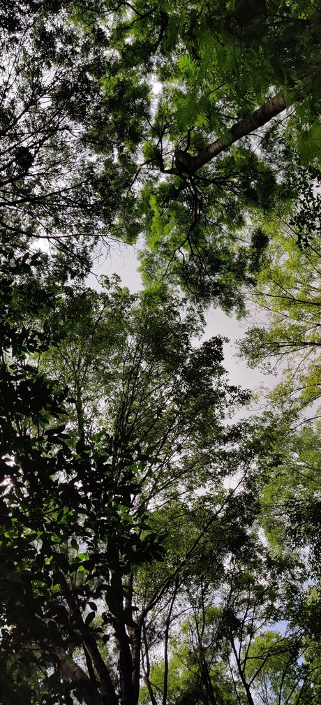 famous femboy onlyfans beautiful porn pics